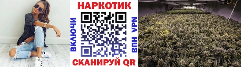 Виды наркоты Великий Устюг КОКАИН  Бошки Шишки  МЕФ  Alpha PVP  Амфетамин  Гашиш 