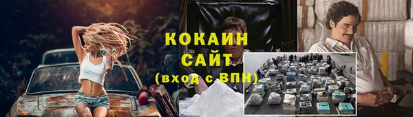 прущая мука Арсеньев
