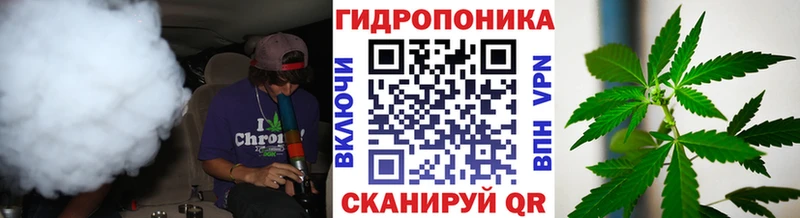 Марихуана SATIVA & INDICA  купить наркоту  Великий Устюг 